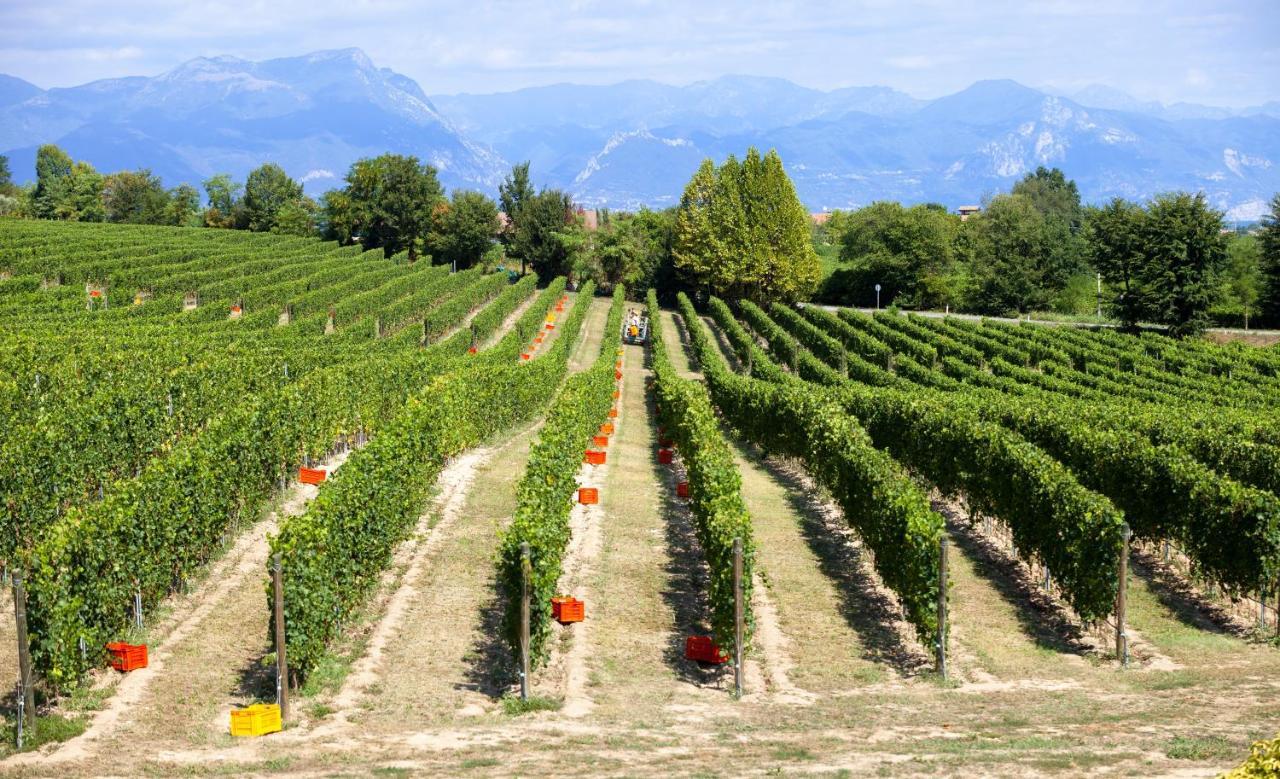 Cobue "Wine Resort & Spa" Pozzolengo Zewnętrze zdjęcie